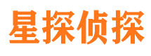 亭湖市调查公司